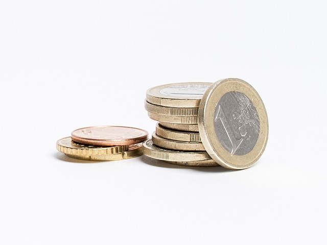 euro mince.jpg
