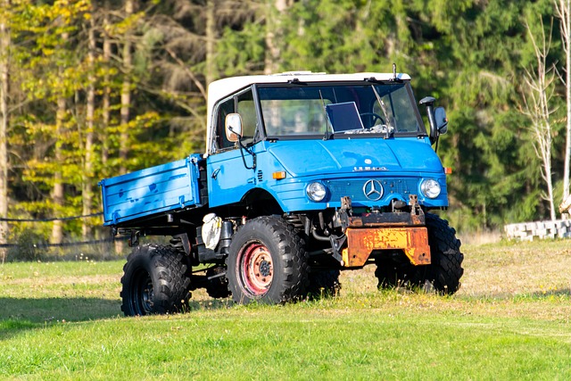 Můžete si koupit jakýkoliv automobil.