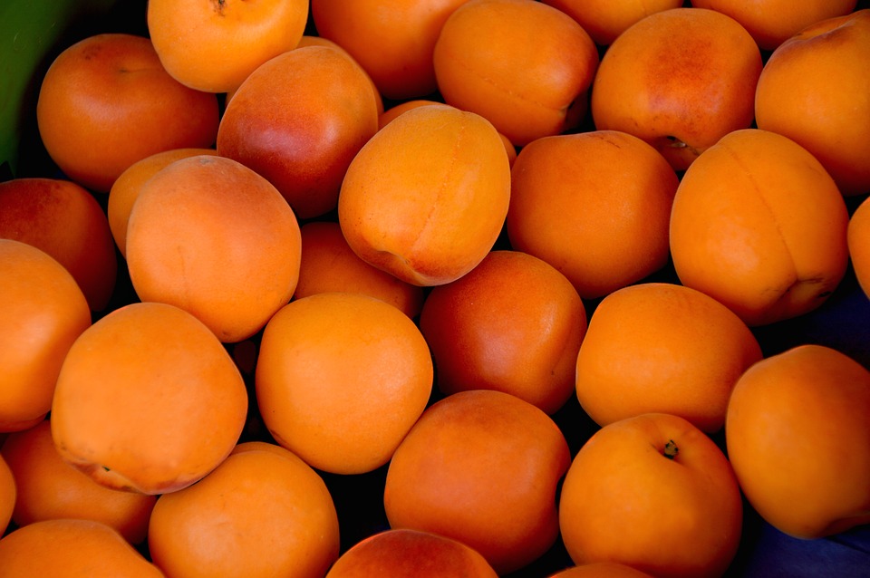 zralé meruňky